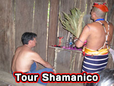 Tour Shamanico Tsachila. Ritual Ayahuasca NEPE. Rosa María Corral Lovaton.