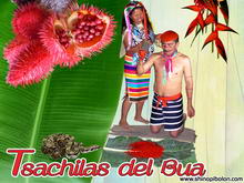 Tsachilas del Bua. Comuna Tsachila del Bua. Moin Sona Tsachila. Nacion Tsachila